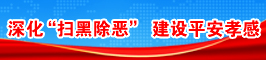 深化“掃黑除惡” 建設(shè)平安孝感